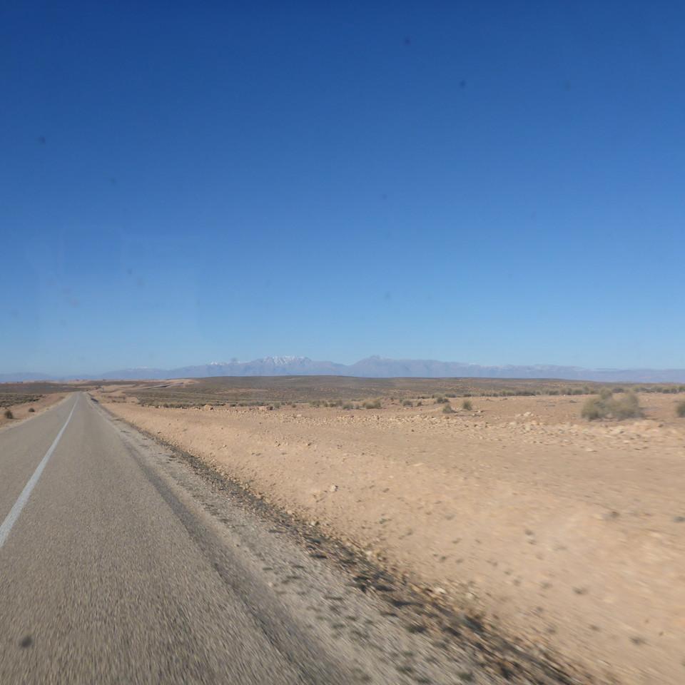 1690.JPG
