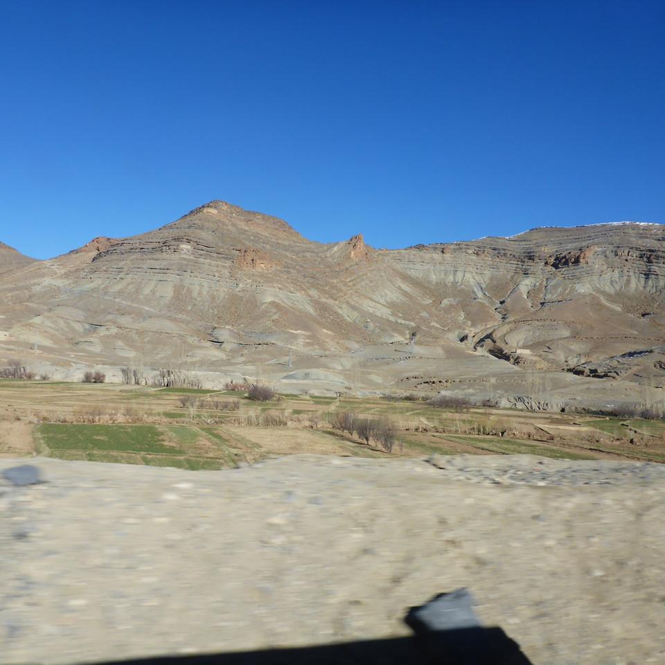 199.JPG