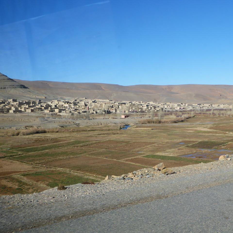 205.JPG