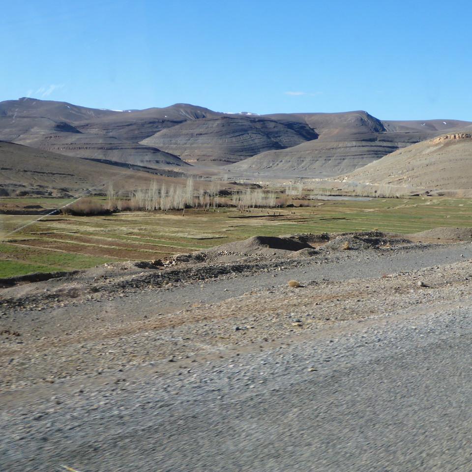 207.JPG