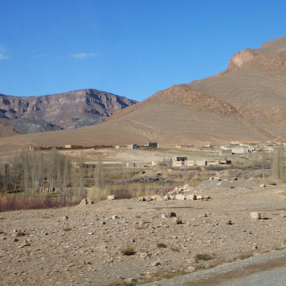 239.JPG