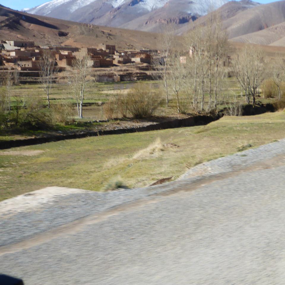 244.JPG