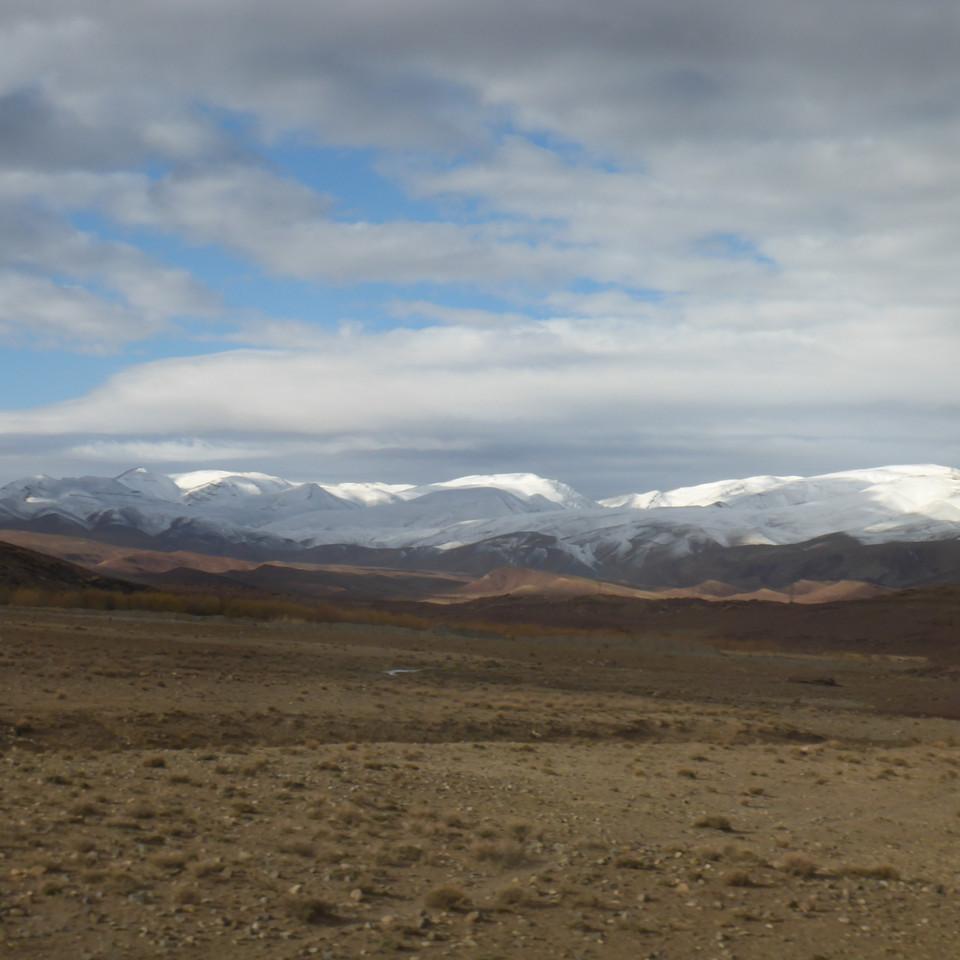 475.JPG