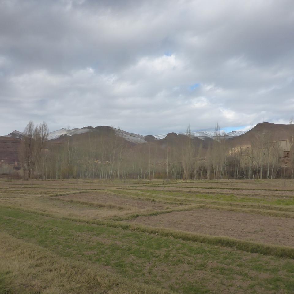 490.JPG