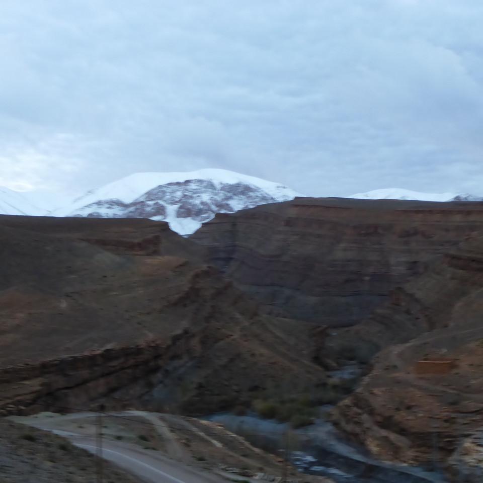 519.JPG