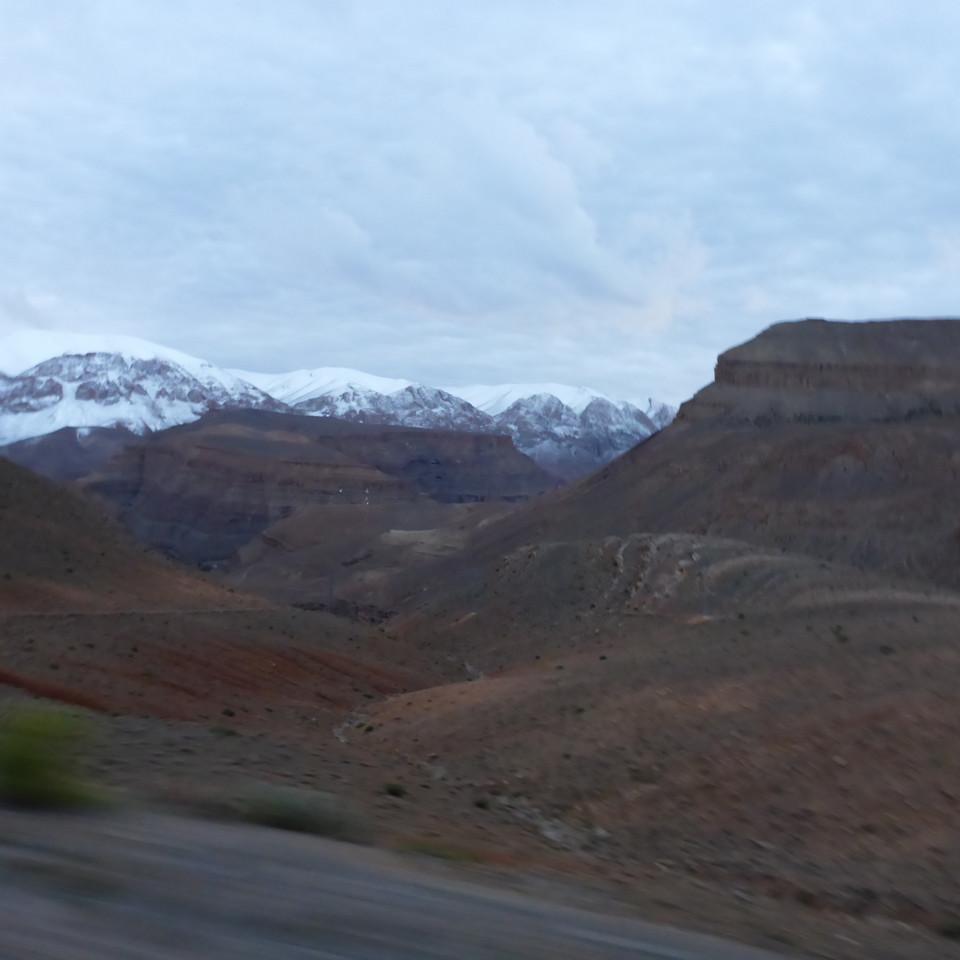 510.JPG