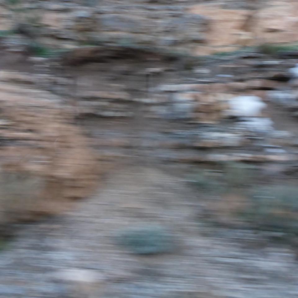 535.JPG