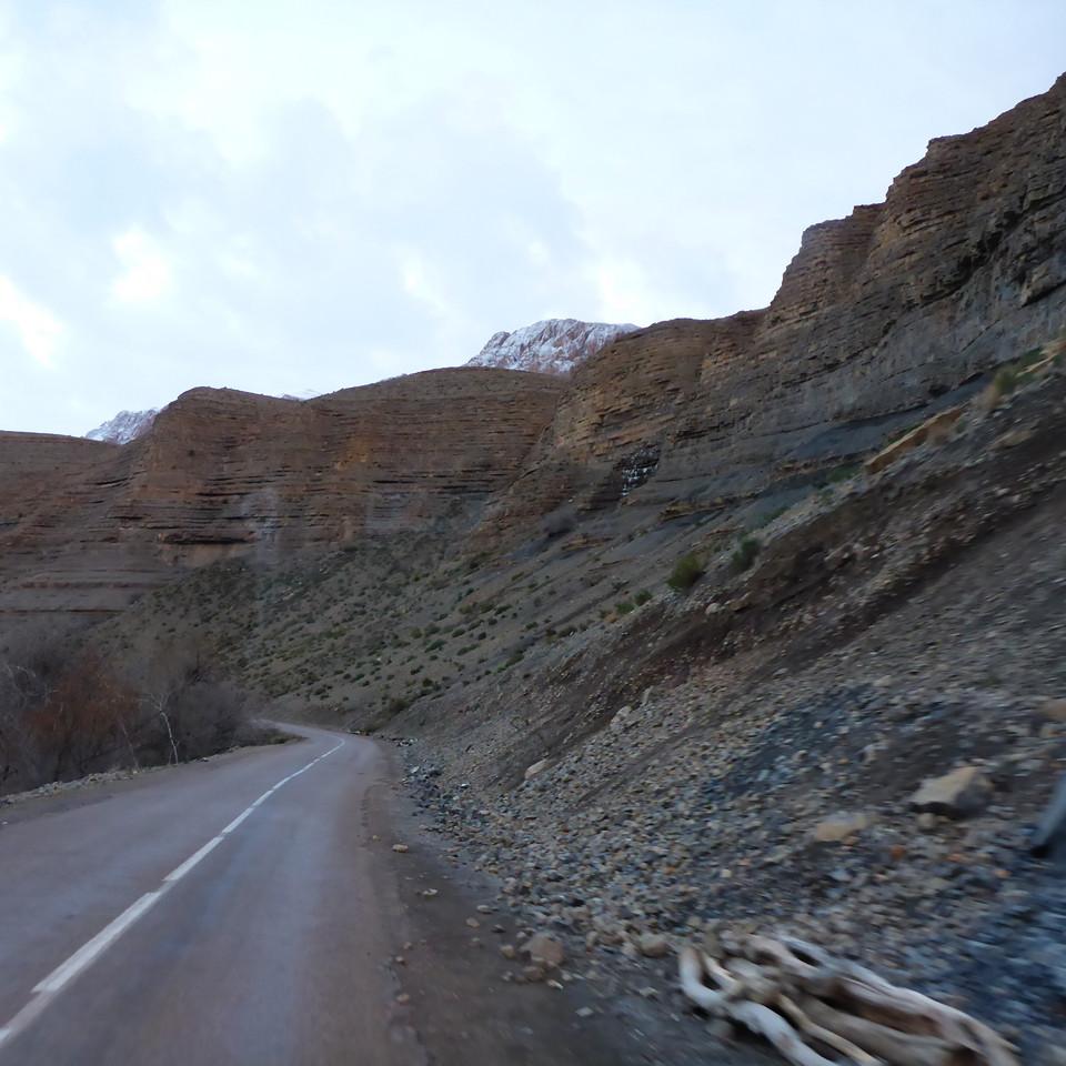 538.JPG