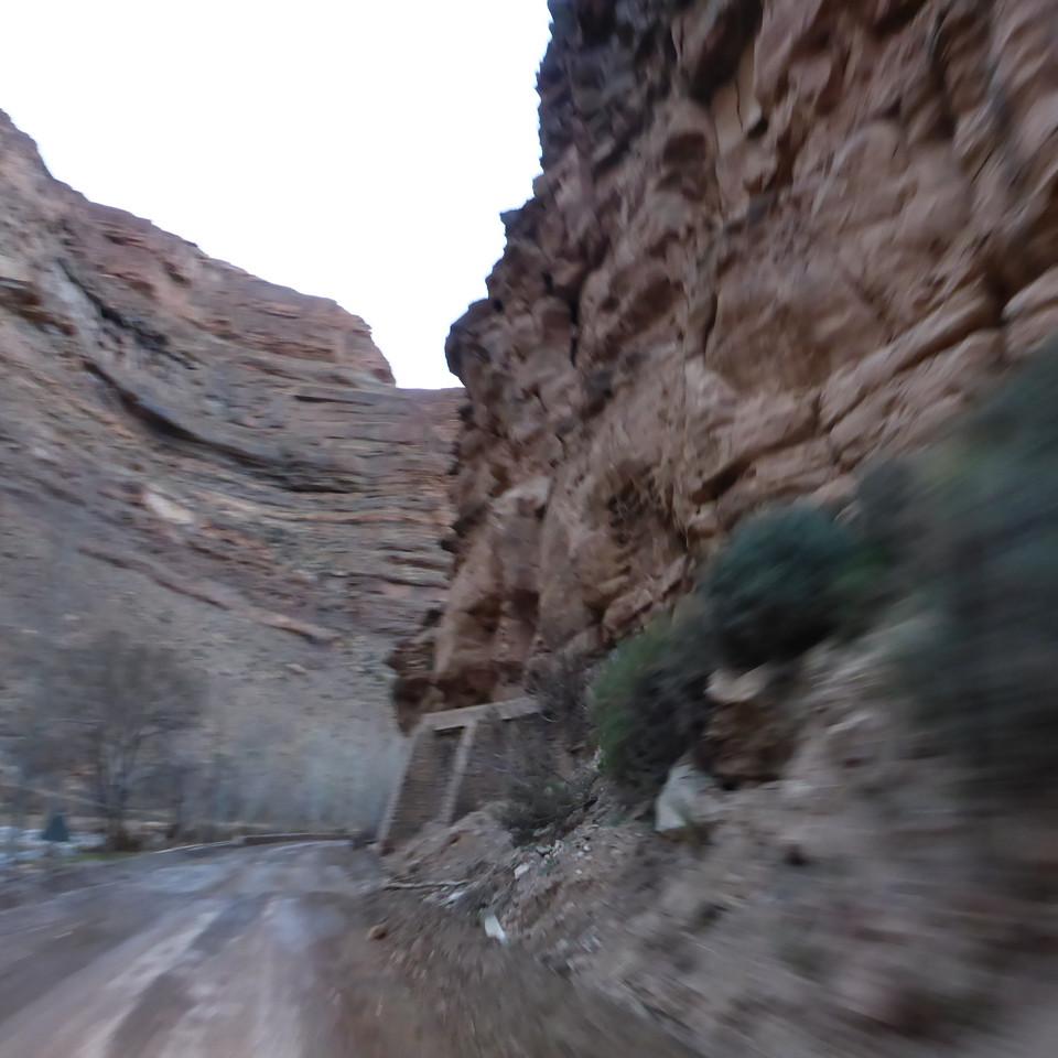 533.JPG