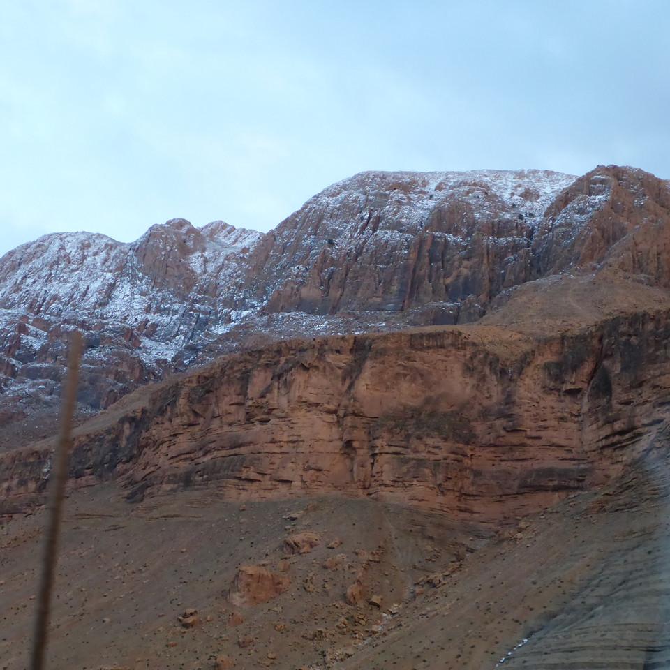 545.JPG