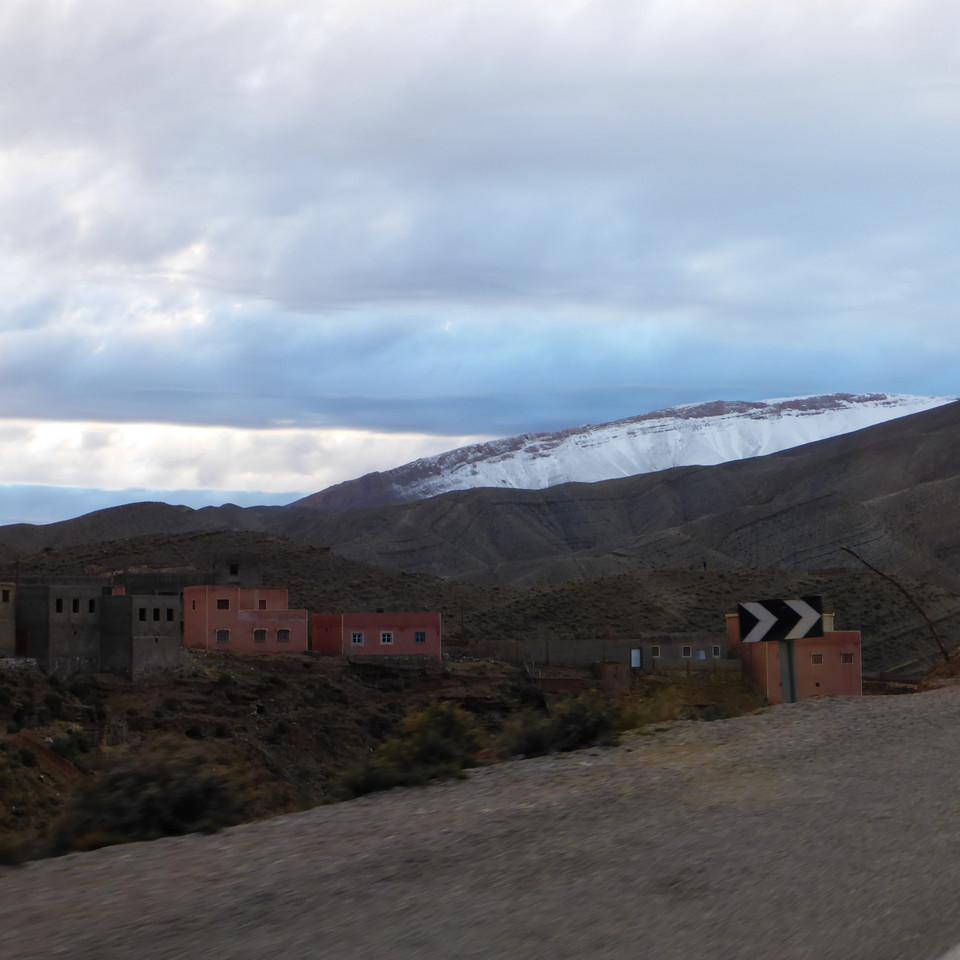 548.JPG
