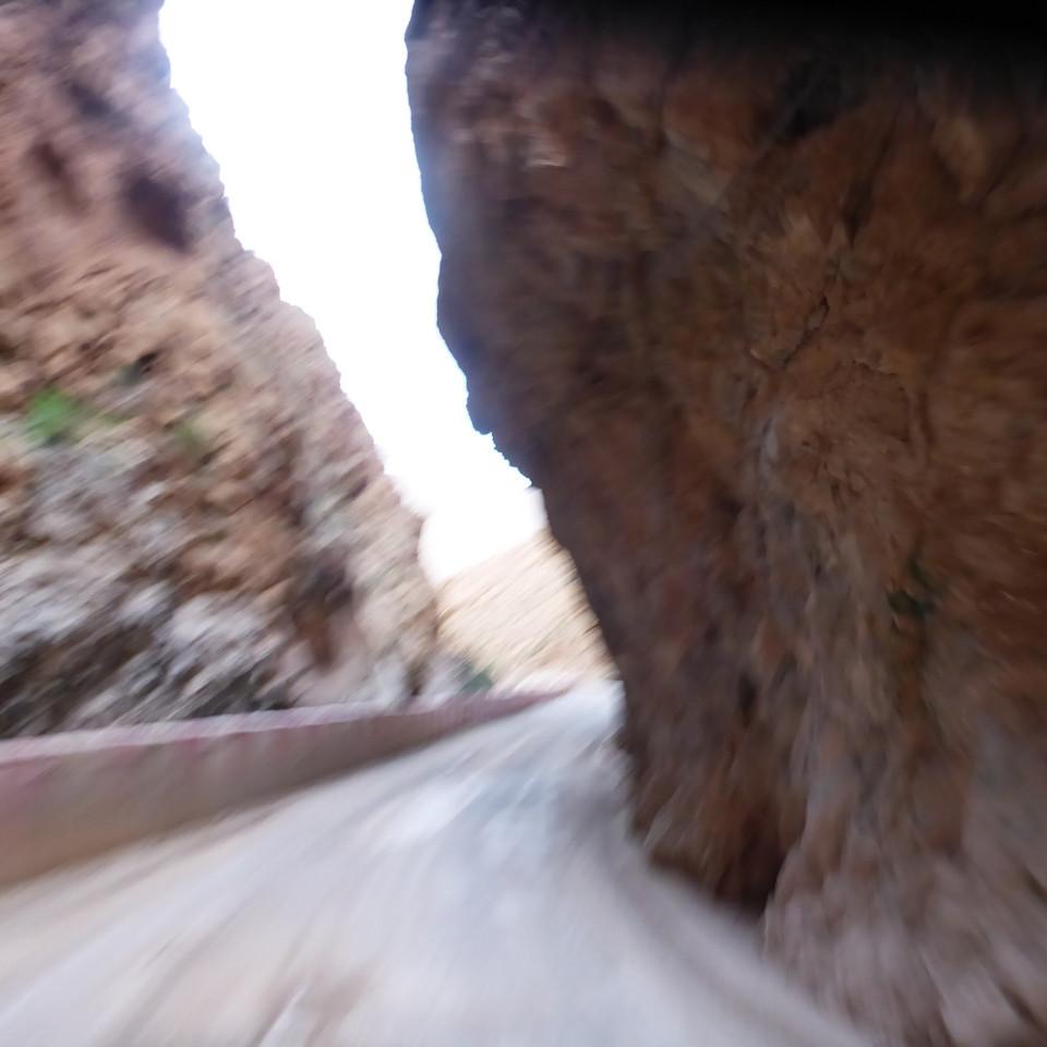 551.JPG