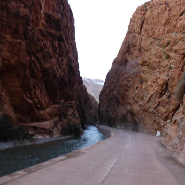 553.JPG