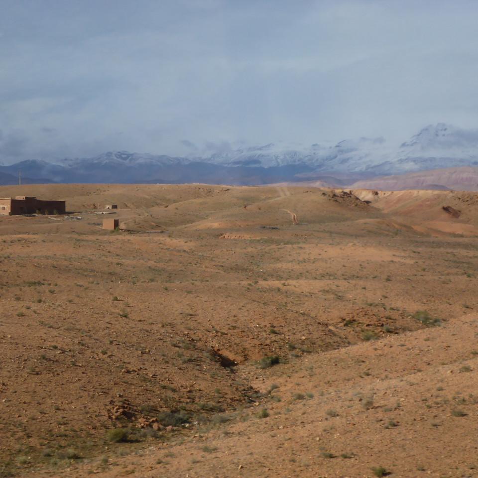654.JPG
