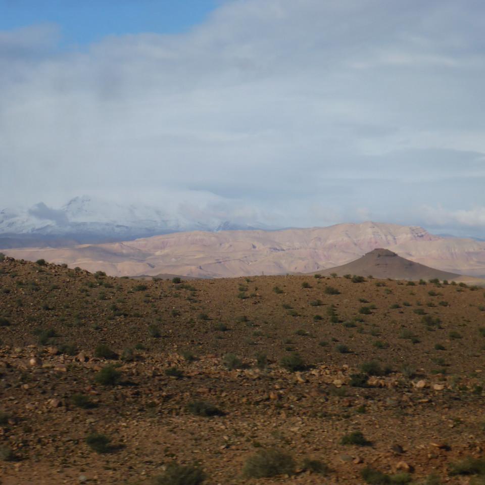 655.JPG