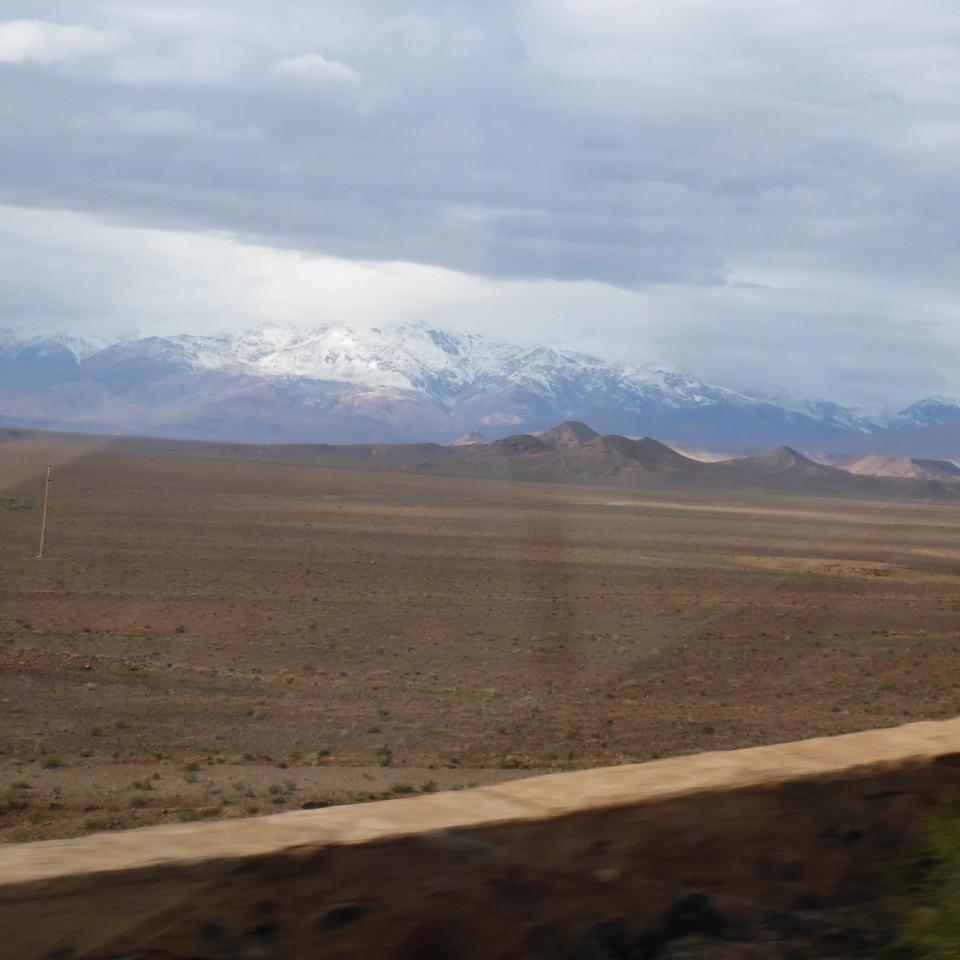 659.JPG