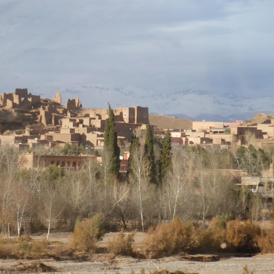 651.JPG