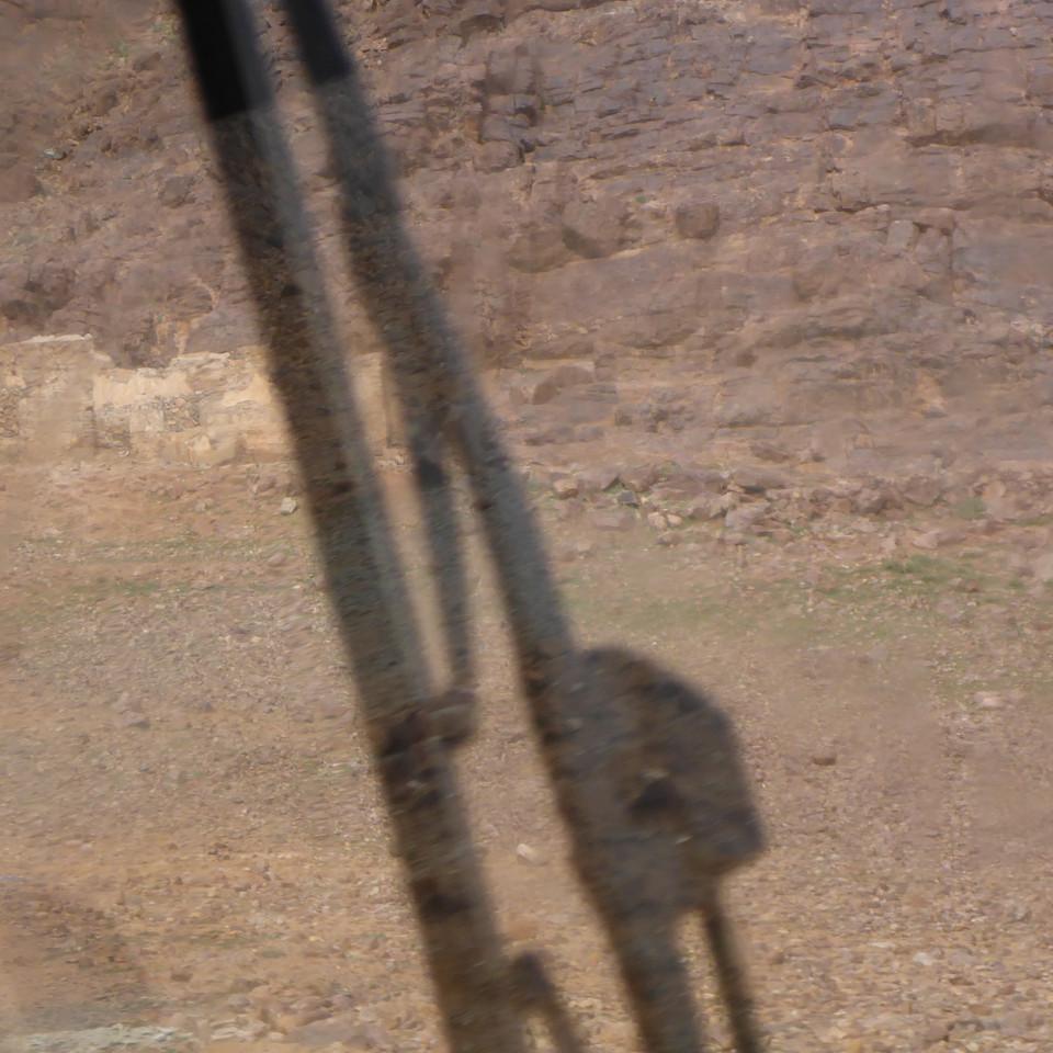 725.JPG