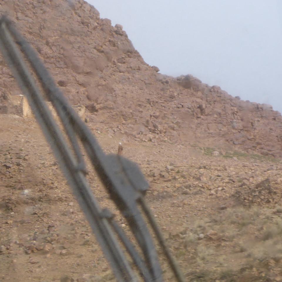 727.JPG