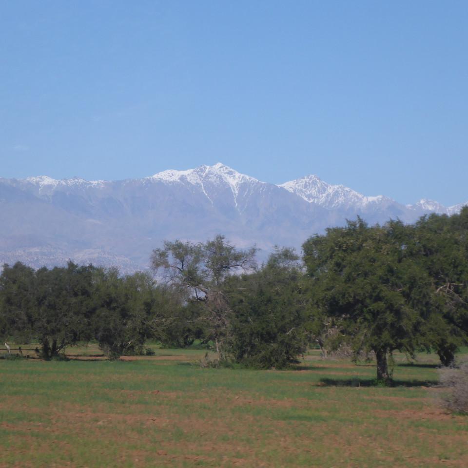 730.JPG