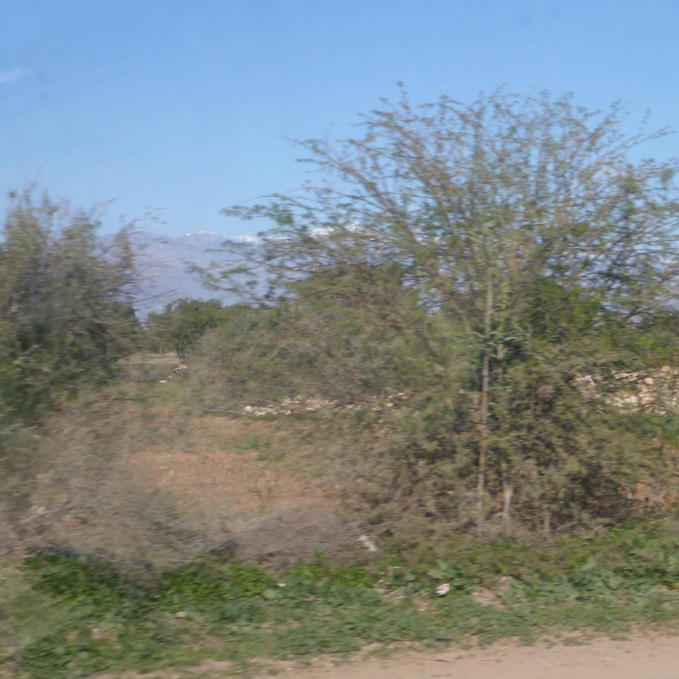 732.JPG