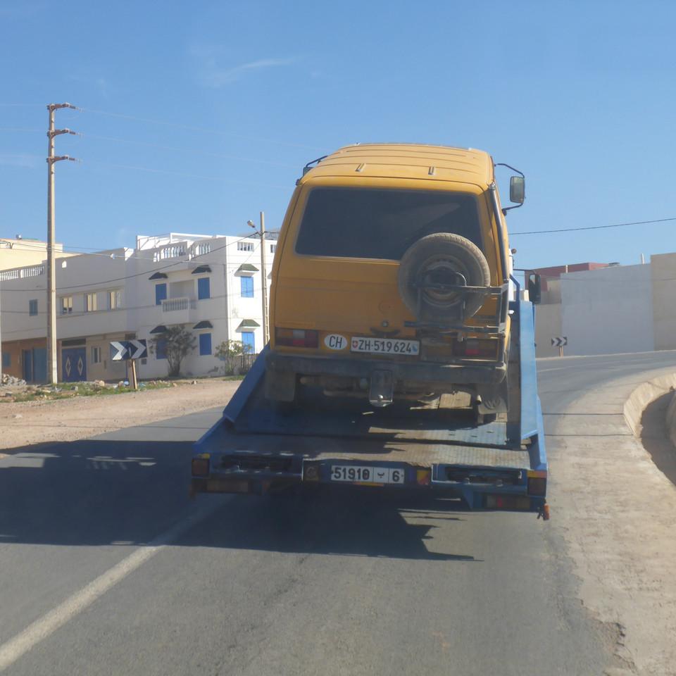 733.JPG