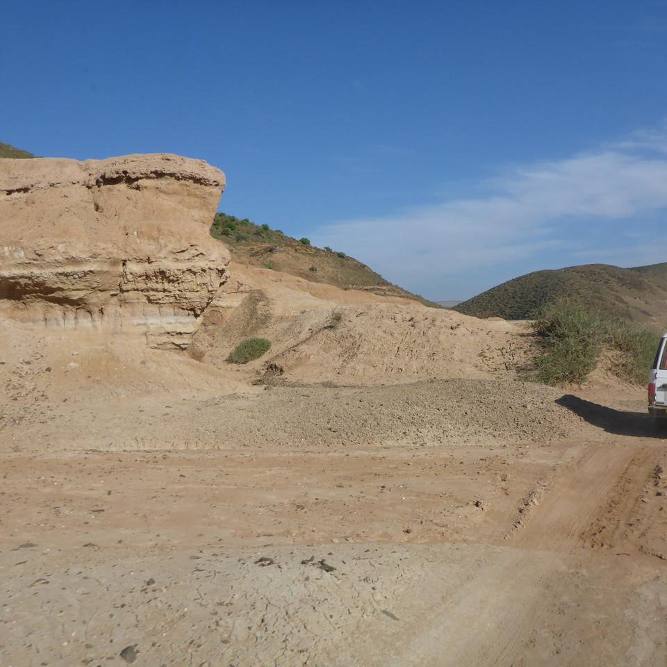 785.JPG