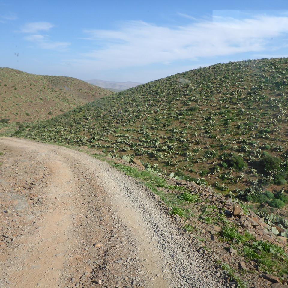 805.JPG