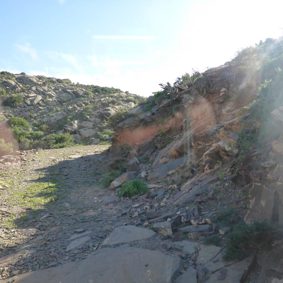 845.JPG