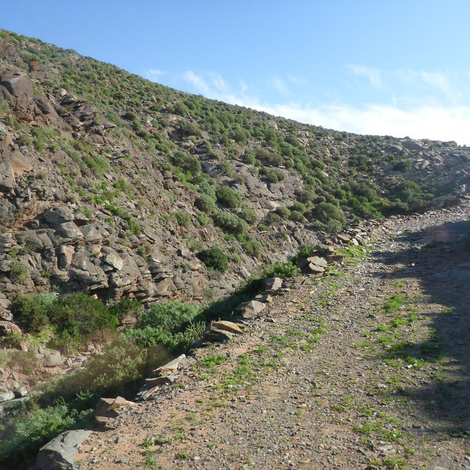 847.JPG