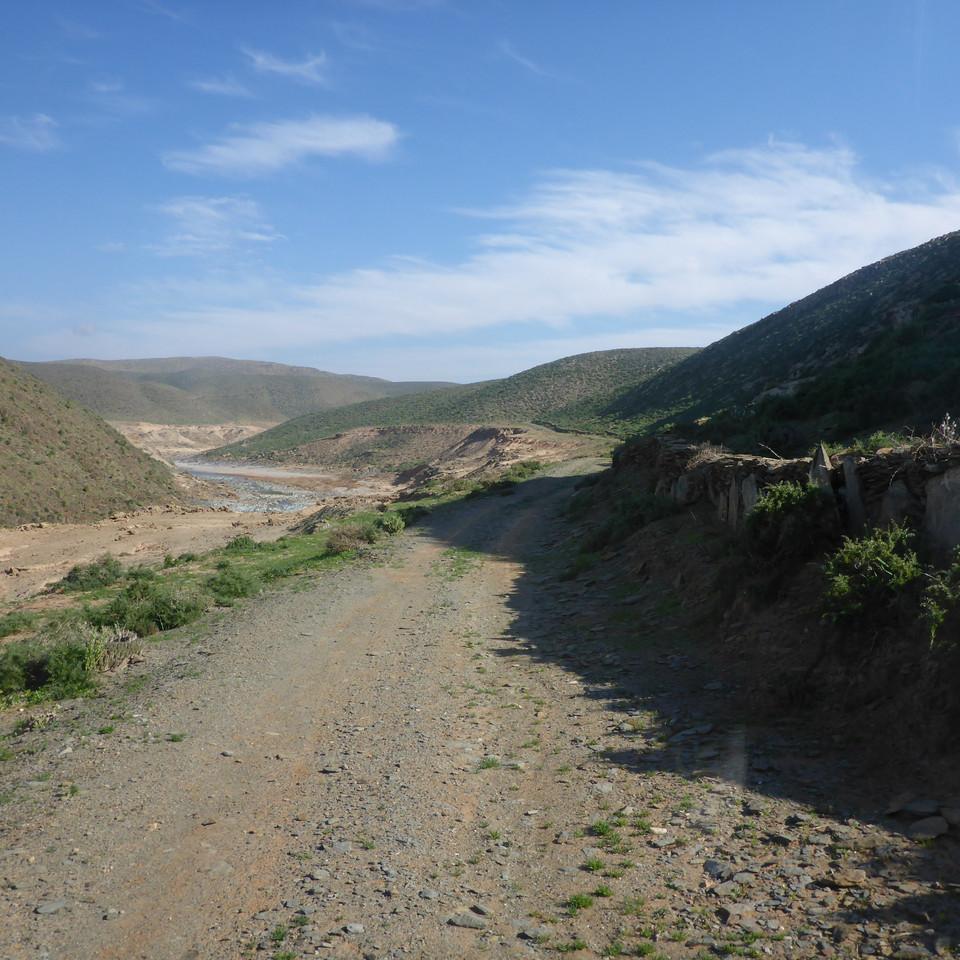 854.JPG
