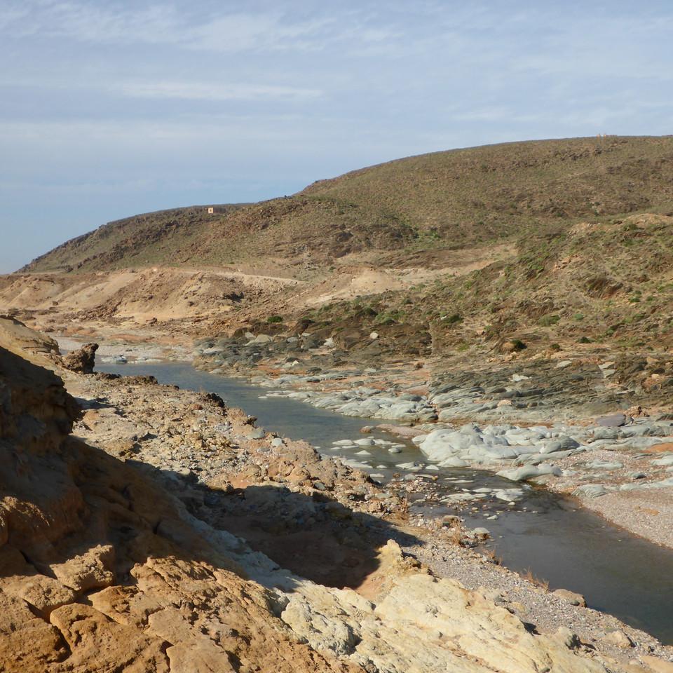 855.JPG