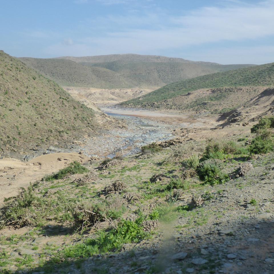 853.JPG