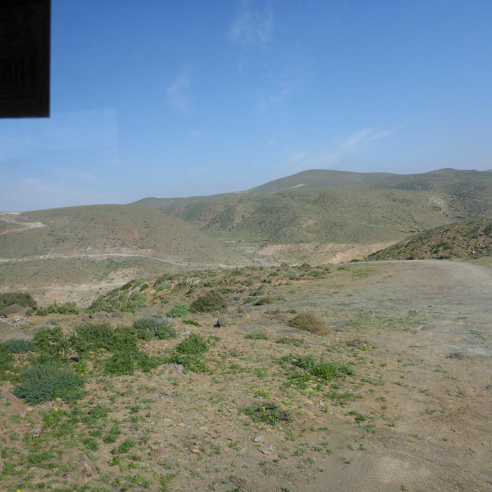 874.JPG