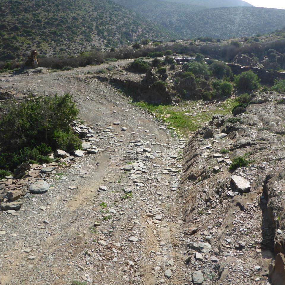 877.JPG