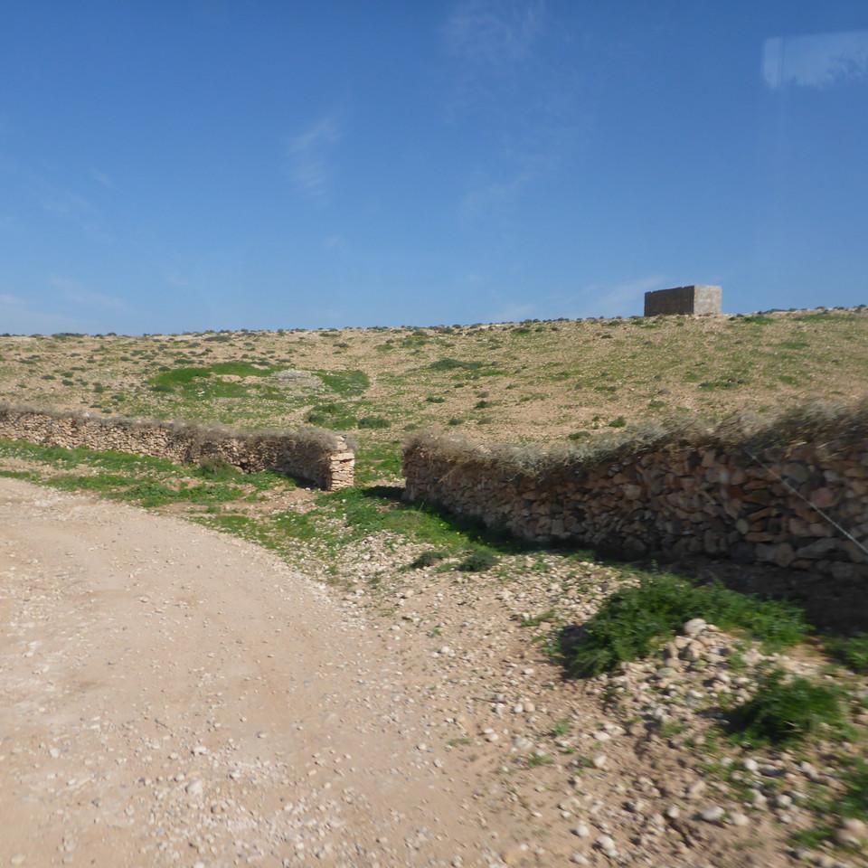 878.JPG