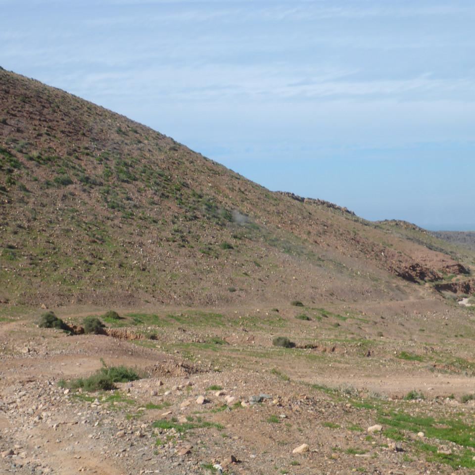 883.JPG