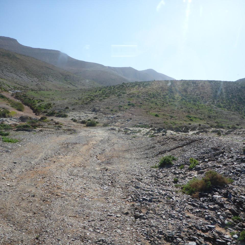 899.JPG