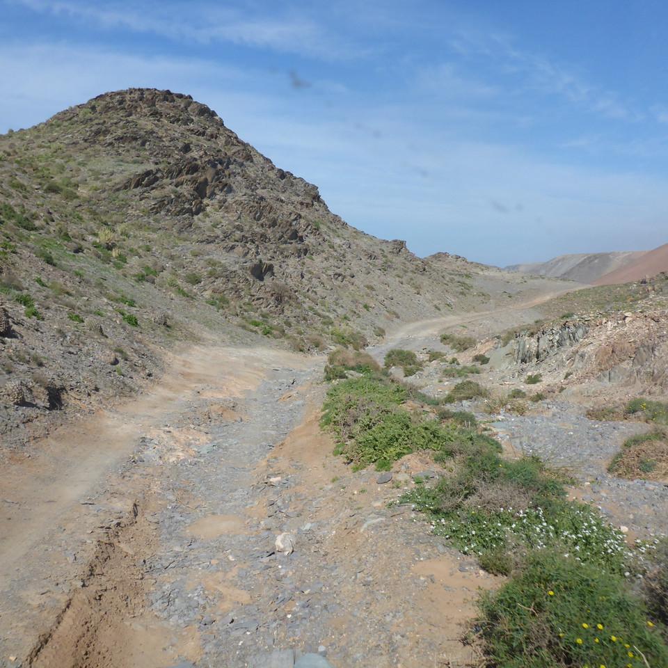 890.JPG