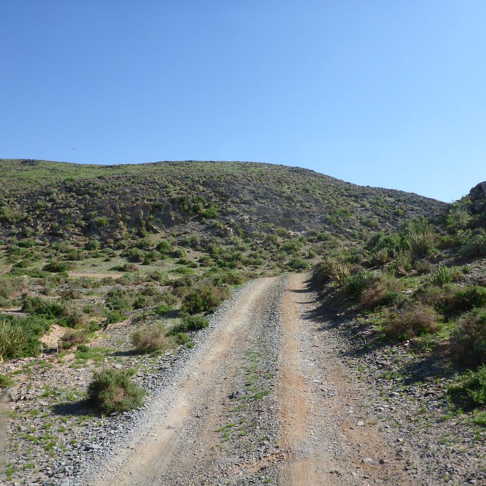 915.JPG