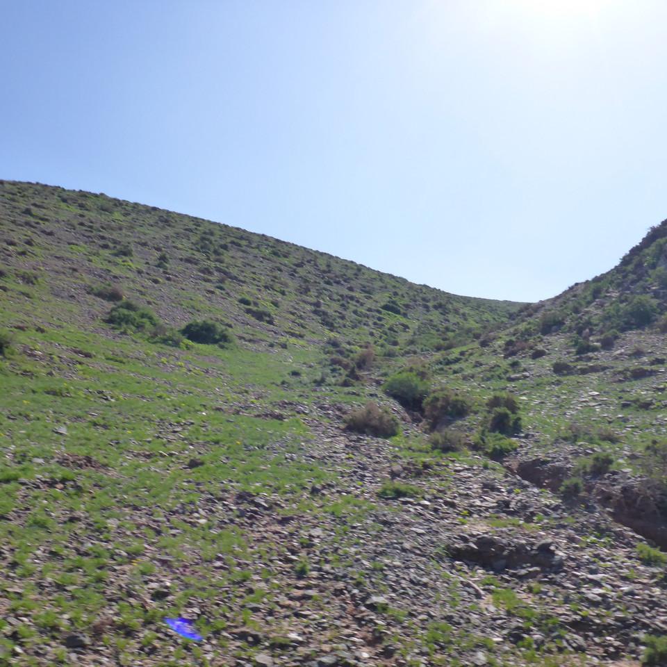 916.JPG