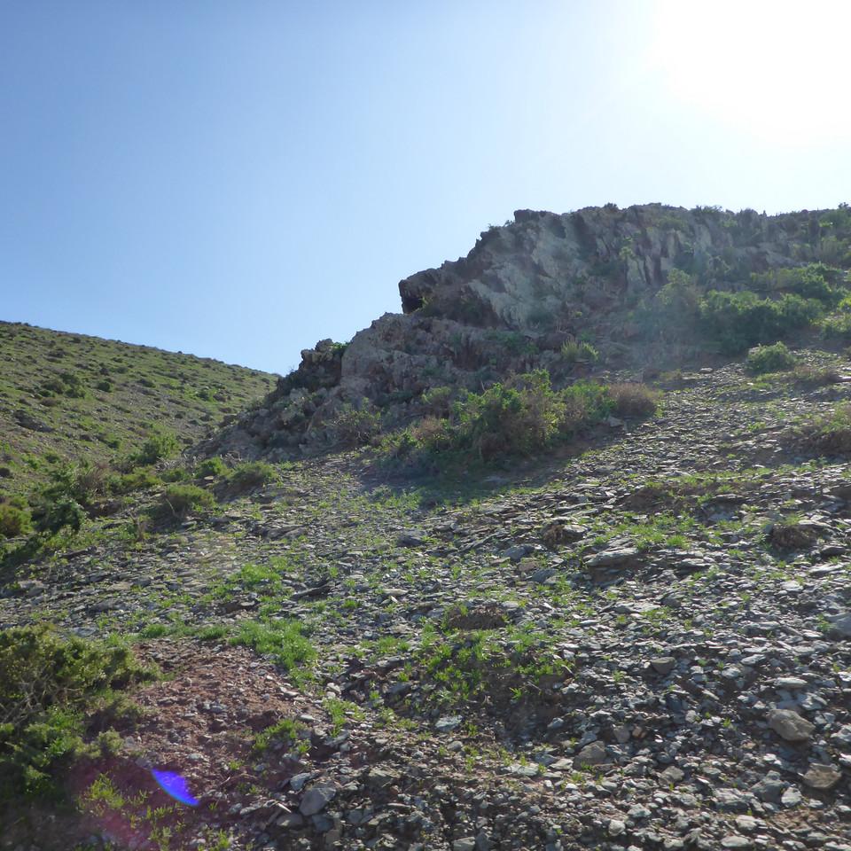 917.JPG