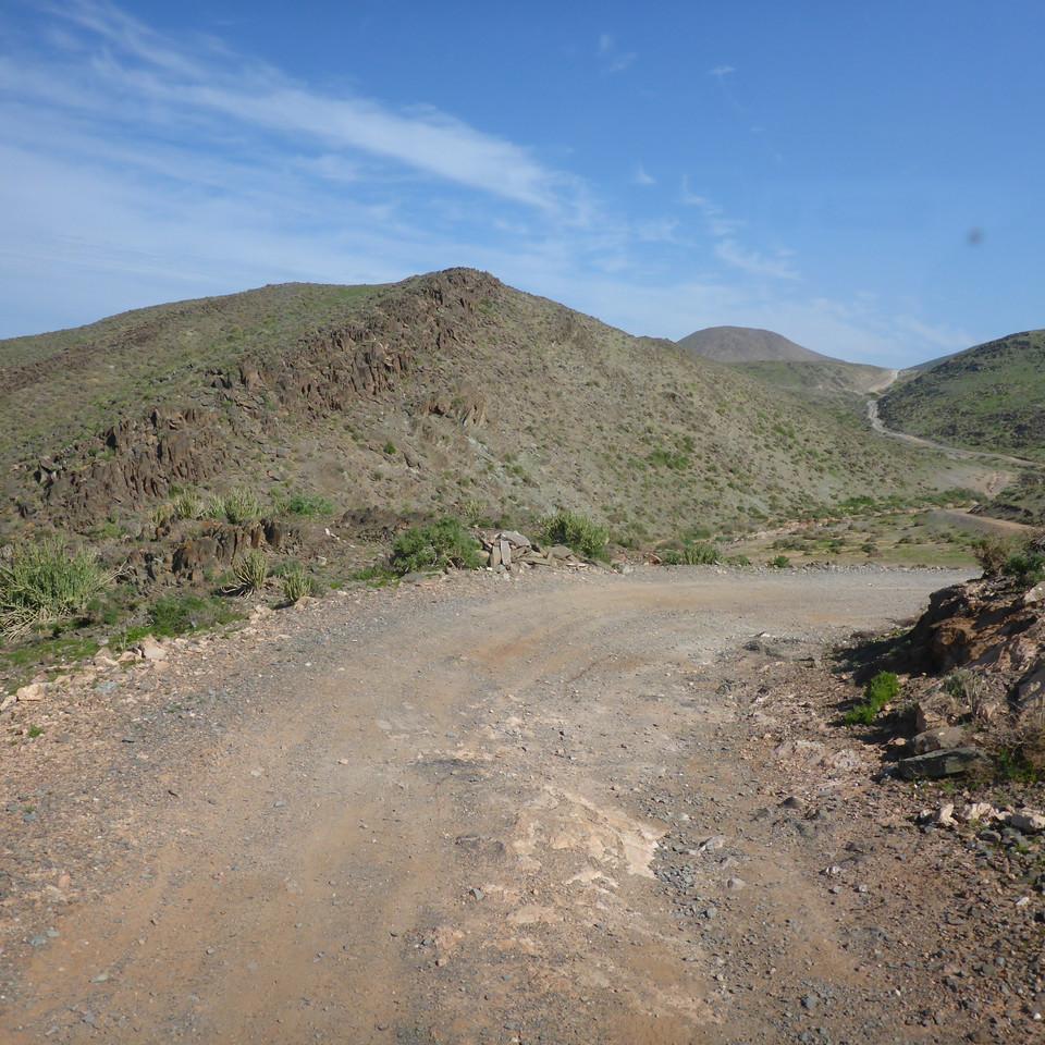 919.JPG