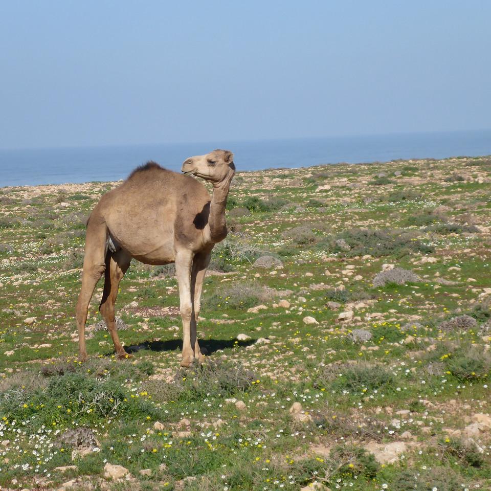939.JPG