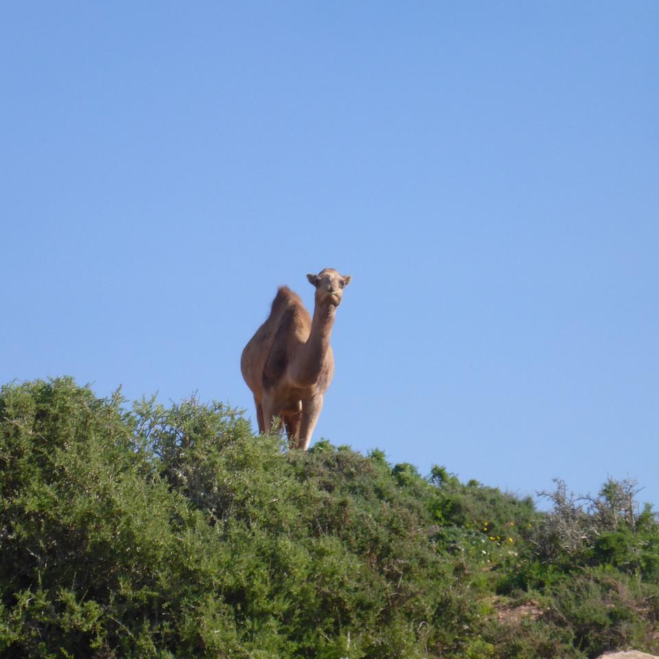 945.JPG