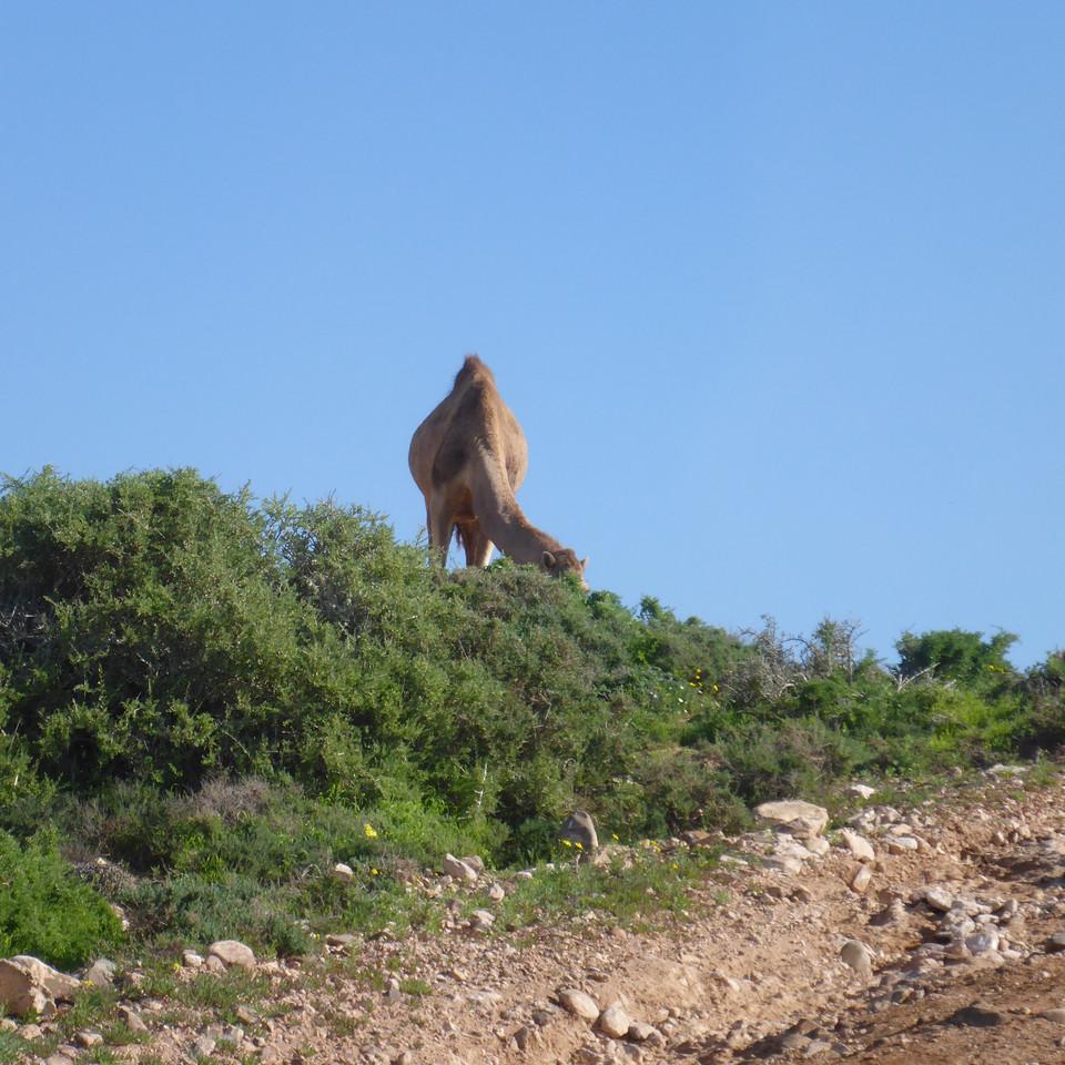 947.JPG