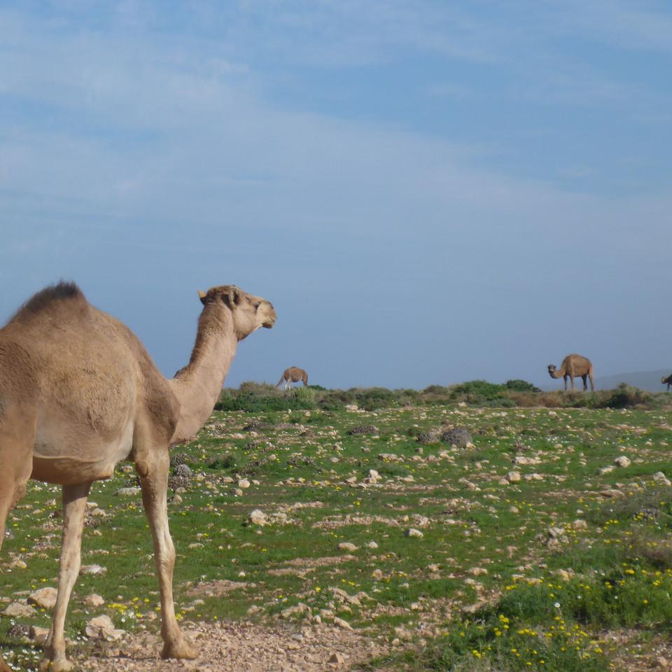 940.JPG