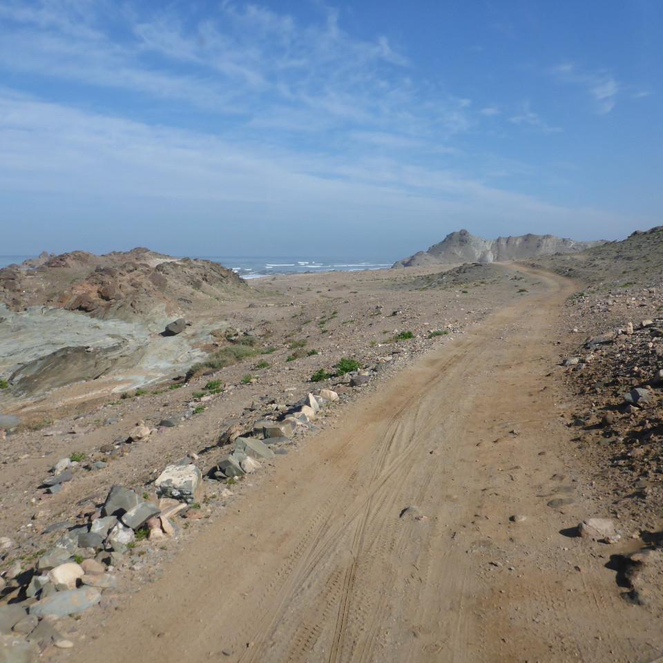 955.JPG