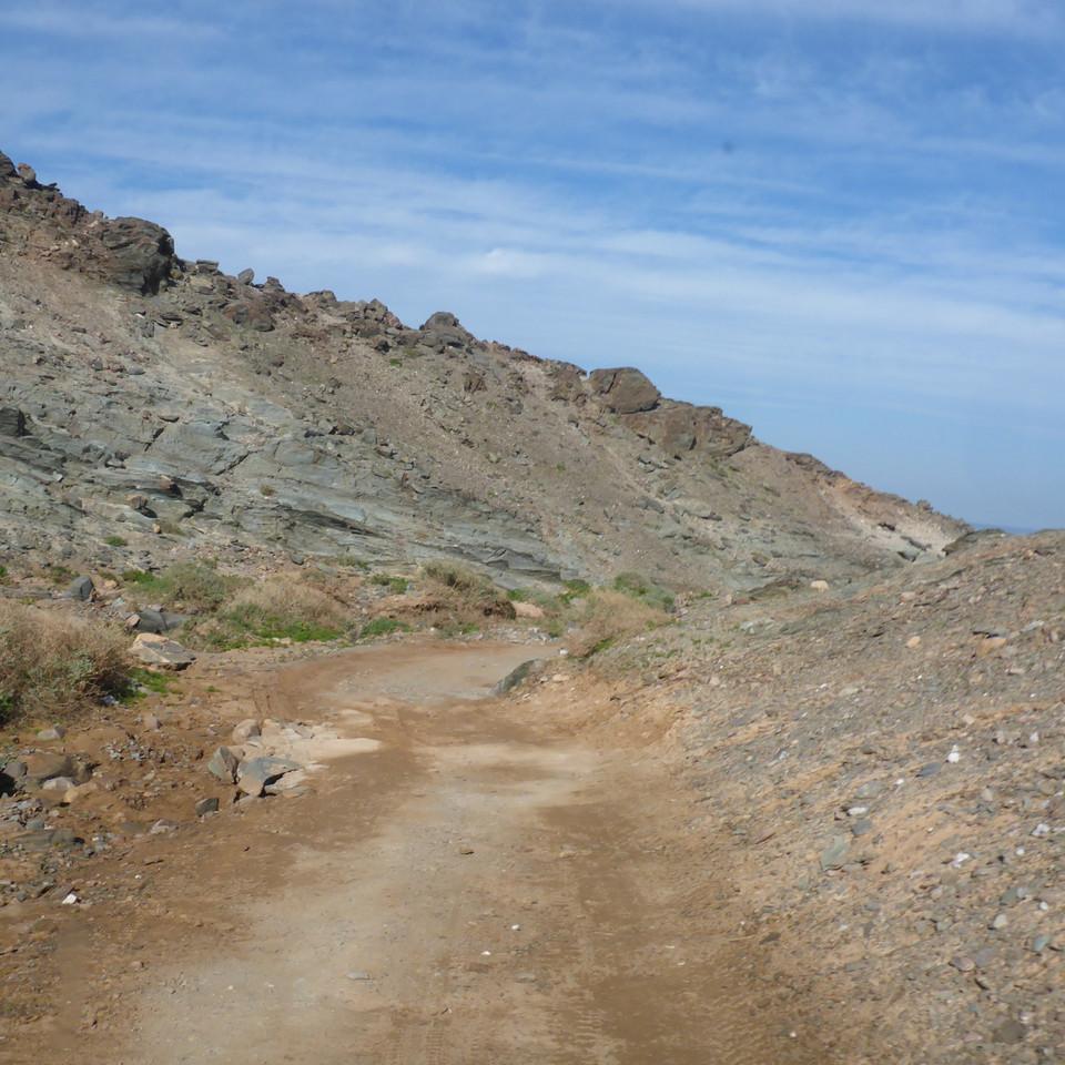 956.JPG