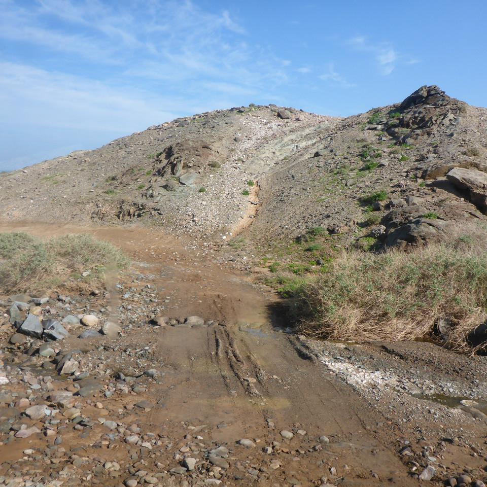 957.JPG